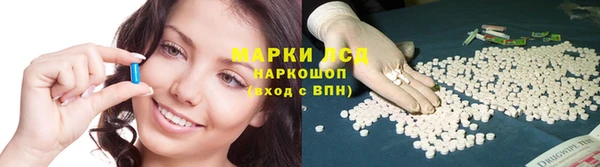 гидра Балахна