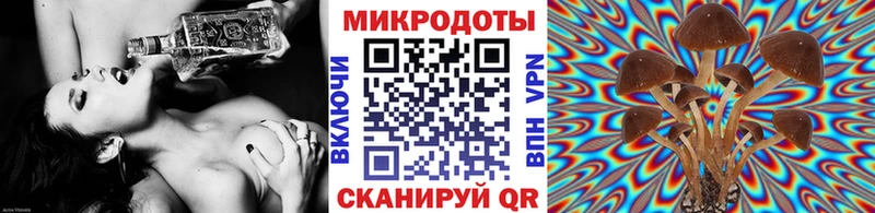 даркнет сайт  Суворов  Псилоцибиновые грибы Cubensis 