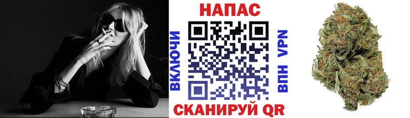 Бошки Шишки семена Суворов
